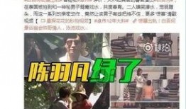 王岳岳最新爆料新闻视频,揭秘事件背后惊人真相