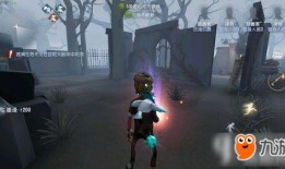 第五人格最新爆料价钱,神秘角色价格揭晓，玩家热议不已！