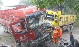 重庆货车最新爆料,揭秘城市物流新动态