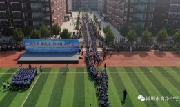 邯郸成安新瓜最新爆料,揭秘成安新瓜背后的故事与魅力