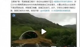 青岛爆料谣言最新消息